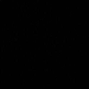 Meet your Posher, Malik